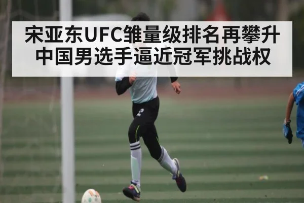 宋亚东UFC雏量级排名再攀升 中国男选手逼近冠军挑战权